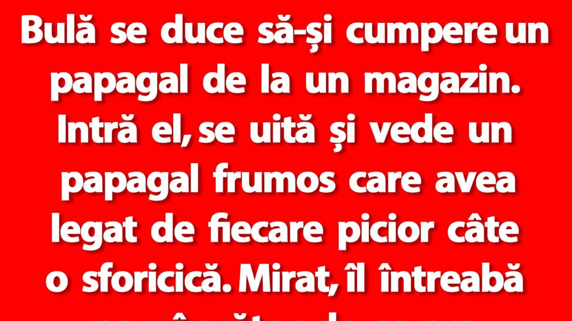 BANC | Bulă se duce să-și cumpere un papagal de la un magazin