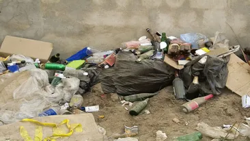 Bucurestenii, campioni la gunoi