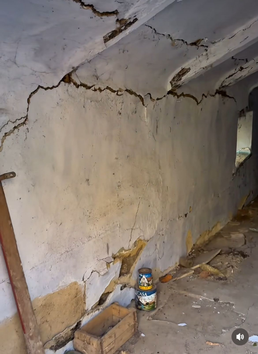 Cum arată casa pe care Sânziana Negru a renovat-o recent, de dragul bunicilor? A schimbat 5 echipe de muncitori în 2 ani