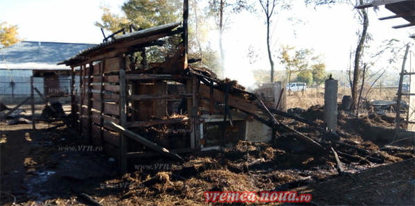 Amor arzător la Vaslui! Un bărbat cuprins de gelozie a incendiat gospodăria rivalului