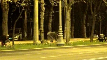 Jaf la drumul mare! Hotii de lalele, surprinsi in flagrant de paparazzii CANCAN.ro!