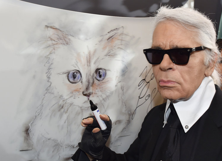 Pisica lui Karl Lagerfeld, ”în doliu”. Choupette le-a „mulțumit” fanilor pe Instagram