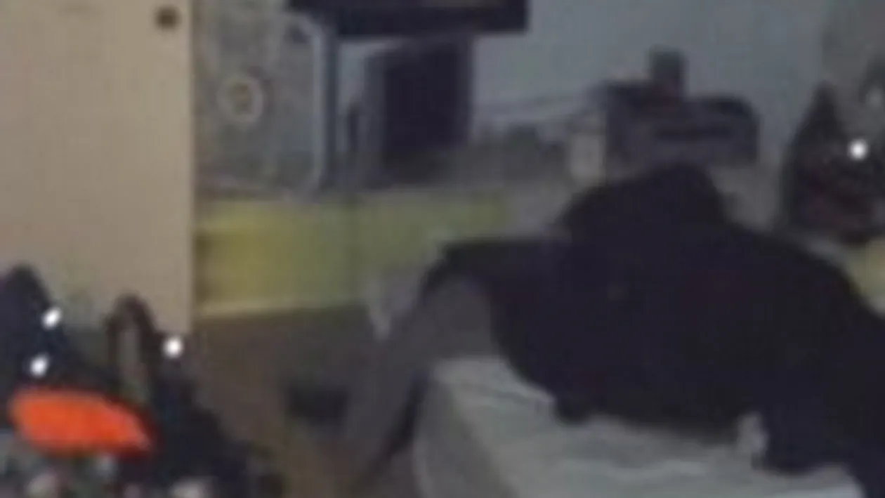 Au crezut ca au o fantoma in casa! Ce au descoperit cand au coborat in pivnita incuiata! Nu credeam ca e posibil asa ceva