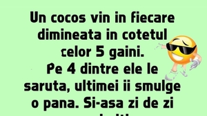 BANCUL ZILEI | Cocoșul și cele 5 găini