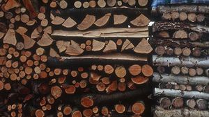 O fetita de patru ani a fost strivita de o stiva de lemne!