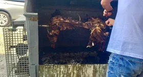 Galerie foto - poza 1