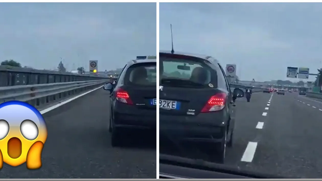 Aparitie socanta pe autostrada! Toti soferii au scos telefoanele ca sa filmeze. Ce mergea pe langa parapeti VIDEO