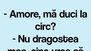 BANCUL ZILEI | "Amore, mă duci la circ?"
