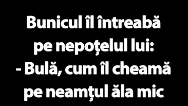 BANC | Bulă, cum îl cheamă pe neamțul ăla mic care îmi tot ascunde lucrurile?