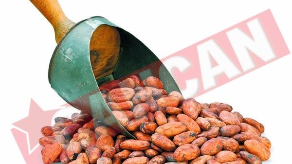Boabele de cacao trateaza hipertensiunea arteriala