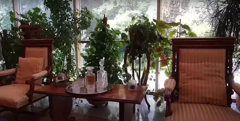 Cum arată casa de 2,5 milioane de euro a Monicăi Tatoiu. Vila are 2 etaje, 9 dormitoare și un sistem de pază complex