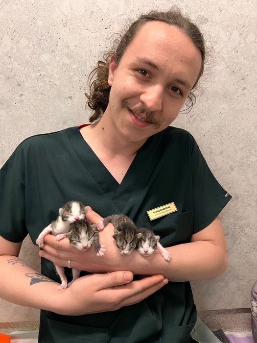 O pisică a mers singură la veterinar să nască / Foto: Facebook