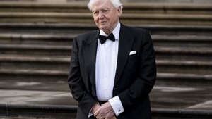 Ce dietă are David Attenborough, legendarul jurnalist britanic. Tocmai a împlinit 100 de ani
