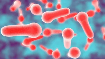 Un bărbat din Rădăuți a mâncat gogoșari în oțet, iar acum este internat în spital și diagnosticat cu... botulism