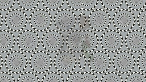 Test de inteligență | Ești un mega-geniu dacă poți numi animalul ascuns în această iluzie optică, în maximum 25 de secunde