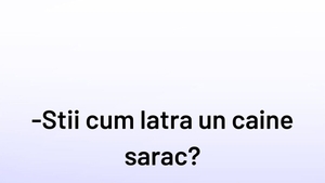 BANCUL ZILEI | Cum latră un câine sărac