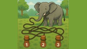 Test de inteligență exclusiv pentru genii | 1, 2 sau 3: Care este răspunsul corect?