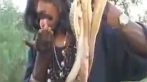VIDEO Au curaj să-l priveşti? Uite cu ce poftă nebună mănâncă acest indian serpi vii