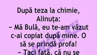 BANC | Bulă, te-am văzut c-ai copiat după mine. O să se prindă profa!”