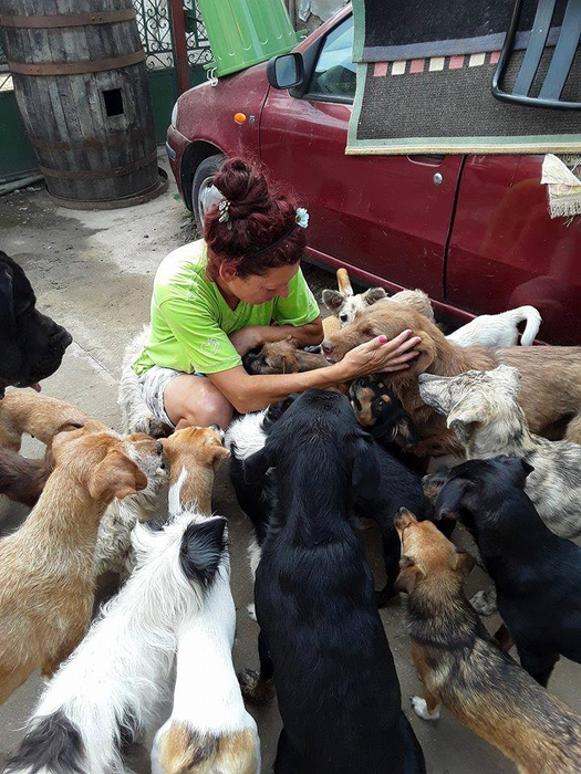 Daniela Popovici nu poate trăi decât înconjurată de animale