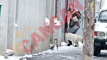 Labradorul i-a stricat buna dispozitie Loredanei