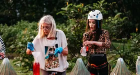 Galerie foto - poza 2