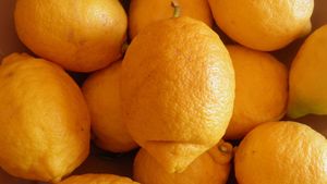 Ce se întâmplă dacă îngropi coajă de lămâie în ghiveci sau în grădină. Truc extrem de util pentru grădinari