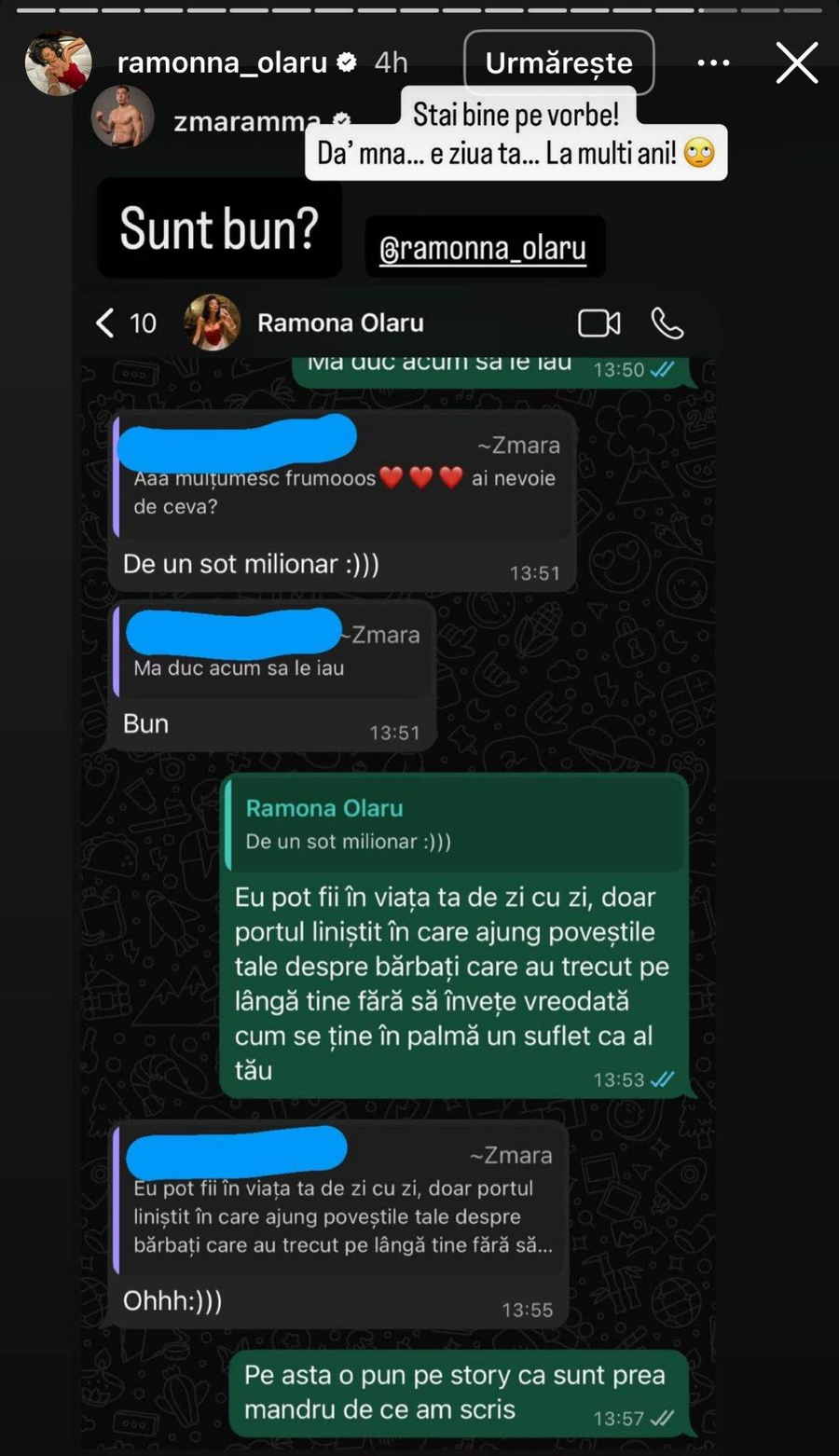 Ramona Olaru, declarație de dragoste/Foto: Instagram
