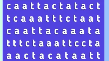 Test de inteligență | Numai cei cu IQ peste 200 găsesc cuvântul „Cat” în doar 20 de secunde!