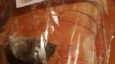 ȘOCANT. Un șoarece mort, descoperit într-o pungă cu pâine