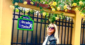 Galerie foto - poza 4