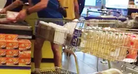 Galerie foto - poza 3