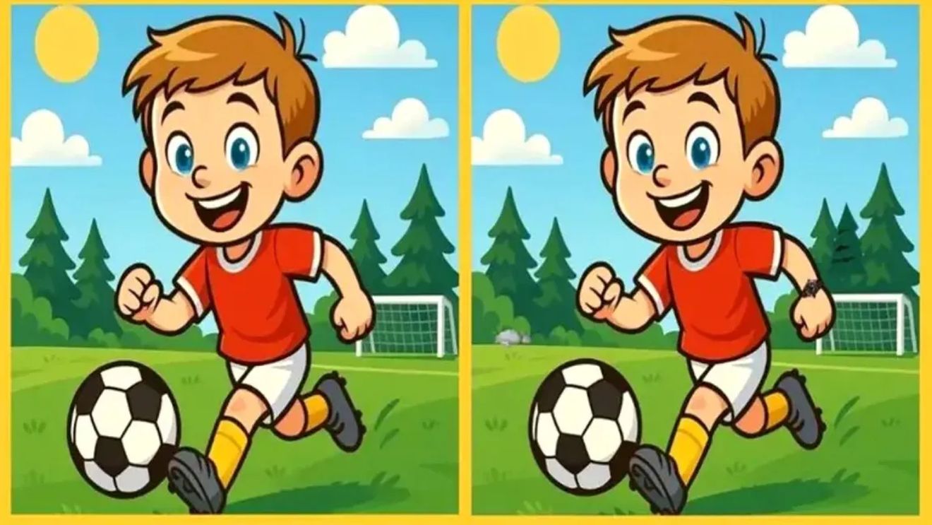 Test IQ | Există 3 diferențe între cele 2 imagini și ai la dispoziție 25 de secunde ca să le descoperi. Le-ai găsit?