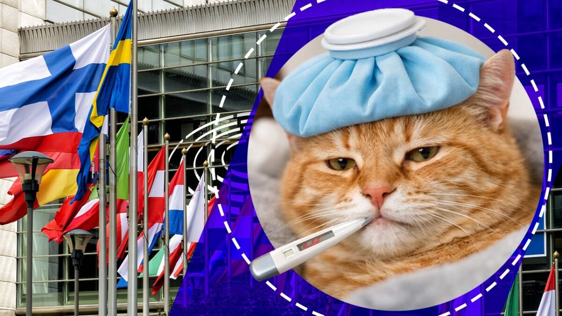 Țara UE în care angajatorul este obligat prin lege să ofere concediu medical pentru îngrijirea animalului de companie