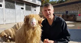 Galerie foto - poza 2