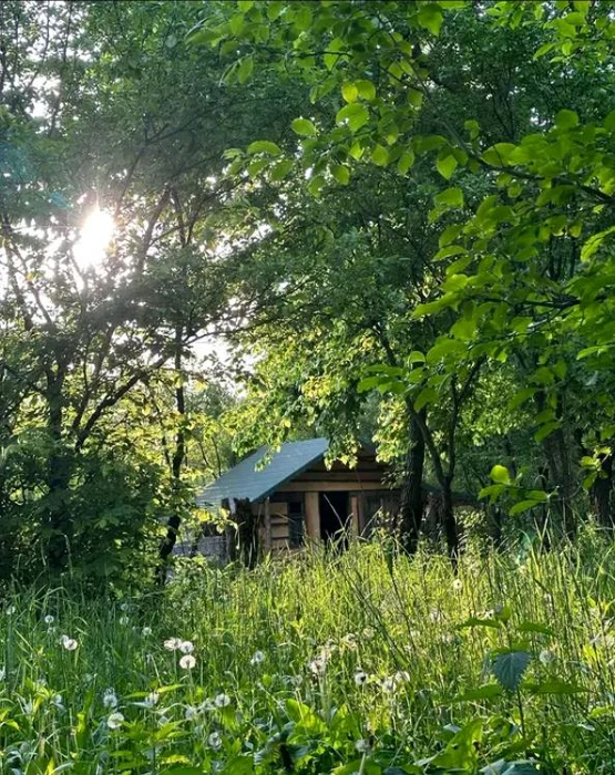 Cum arată casa de vacanță a dr. nutriționist Mihaela Bilic. Și-a construit propria oază de liniște pe Valea Prahovei