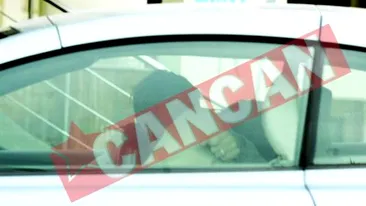 Iubitul Mioarei Mantale face afaceri cu Prefectura Capitalei