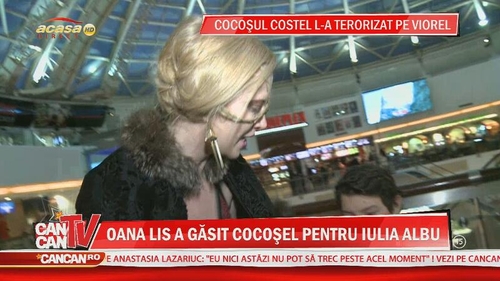 Oana Lis a luat-o pe urmele Iuliei Albu! In casa fostului edil al Capitalei canta acum cocosul Costel