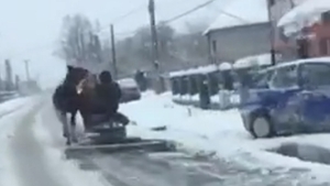 VIDEO INCREDIBIL. Deszăpezire cu calul și plugul, pe drumurile din Băile Olănești