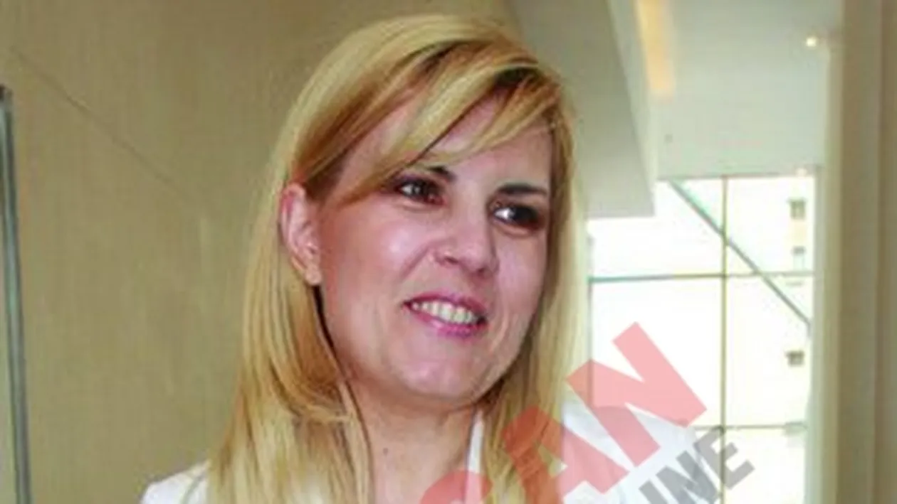 Elena Udrea, tot mai aproape de sefia PD-L
