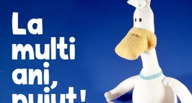 Galerie foto - poza 4