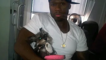 VIP-urile de la Hollywood si-au scos cainii la plimbare! Care crezi ca este mai frumos?