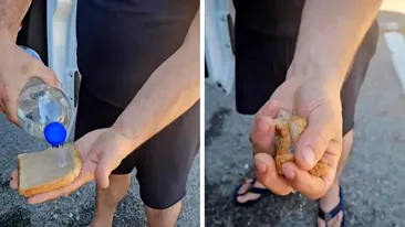 Ce ar conține pâinea 'burete' din Franța. A devenit virală datorită unui român: „De asta vă îmbolnăviți”