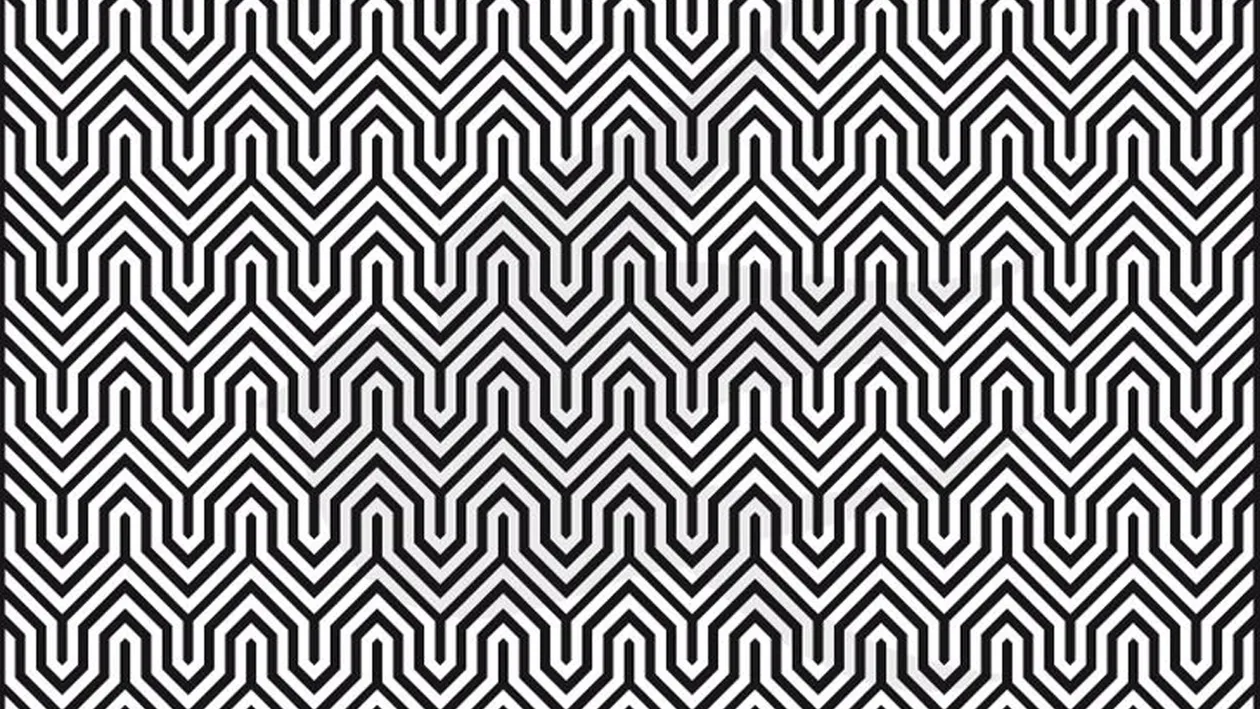 IQ TEST - iluzia optică dificilă care a pus netul pe jar | Ce animal vezi în poza asta?