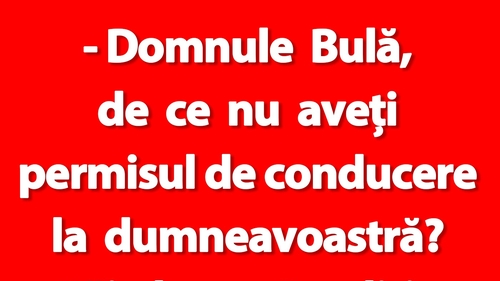 BANC | "Domnule Bulă, de ce nu aveți permisul de conducere la dumneavoastră?"