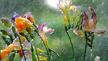 Vin ploile, dar vremea ramane frumoasa! Vezi prognoza meteo din urmatoarele trei zile