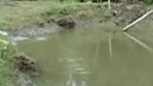 VIDEO Un copil de numai 4 ani a murit inecat intr-un lac din Bistrita Nasaud!