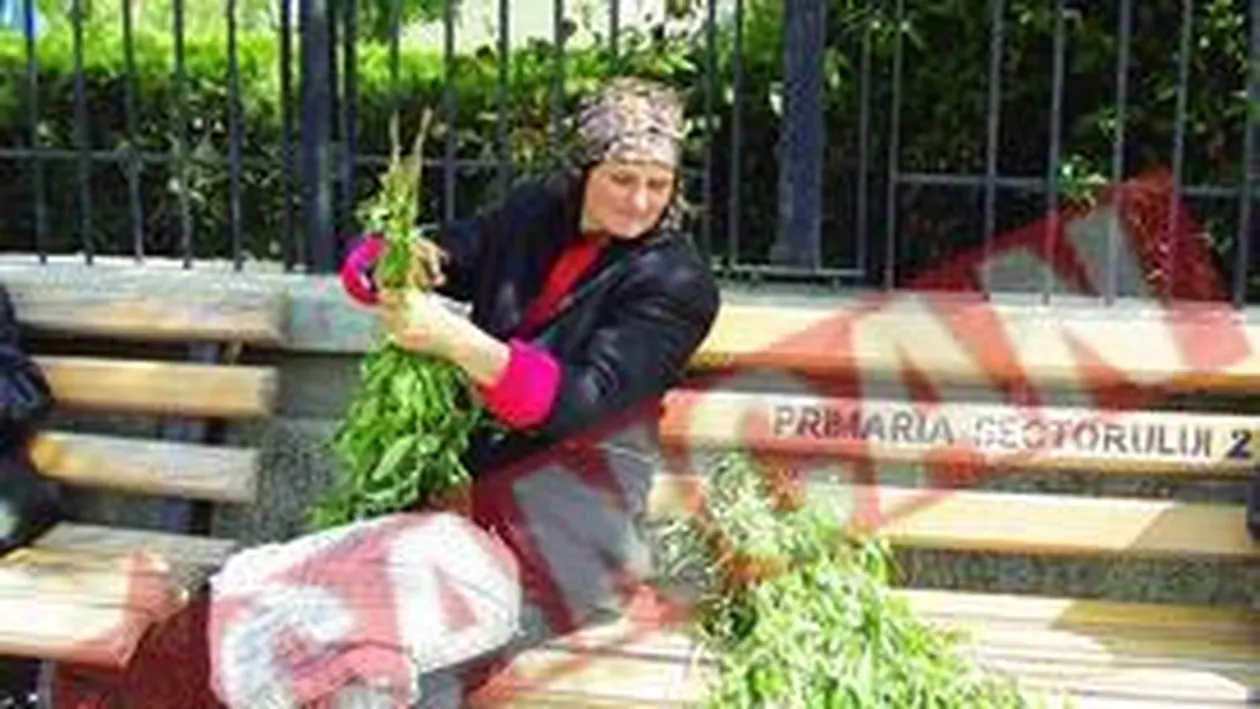 Romanii au sarbatorit Floriile la iarba verde