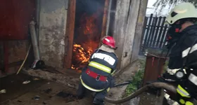 Galerie foto - poza 4