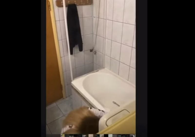 Bia Khalifa, fosta iubită a lui Dani Mocanu și tânăra care a șocat juriul iUmor, filmată în ipostaze rușinoase. Ce a făcut într-o toaletă întrece orice imaginație